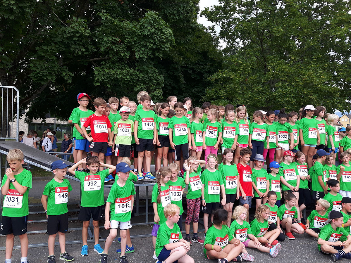 Emmendinger Stadtlauf